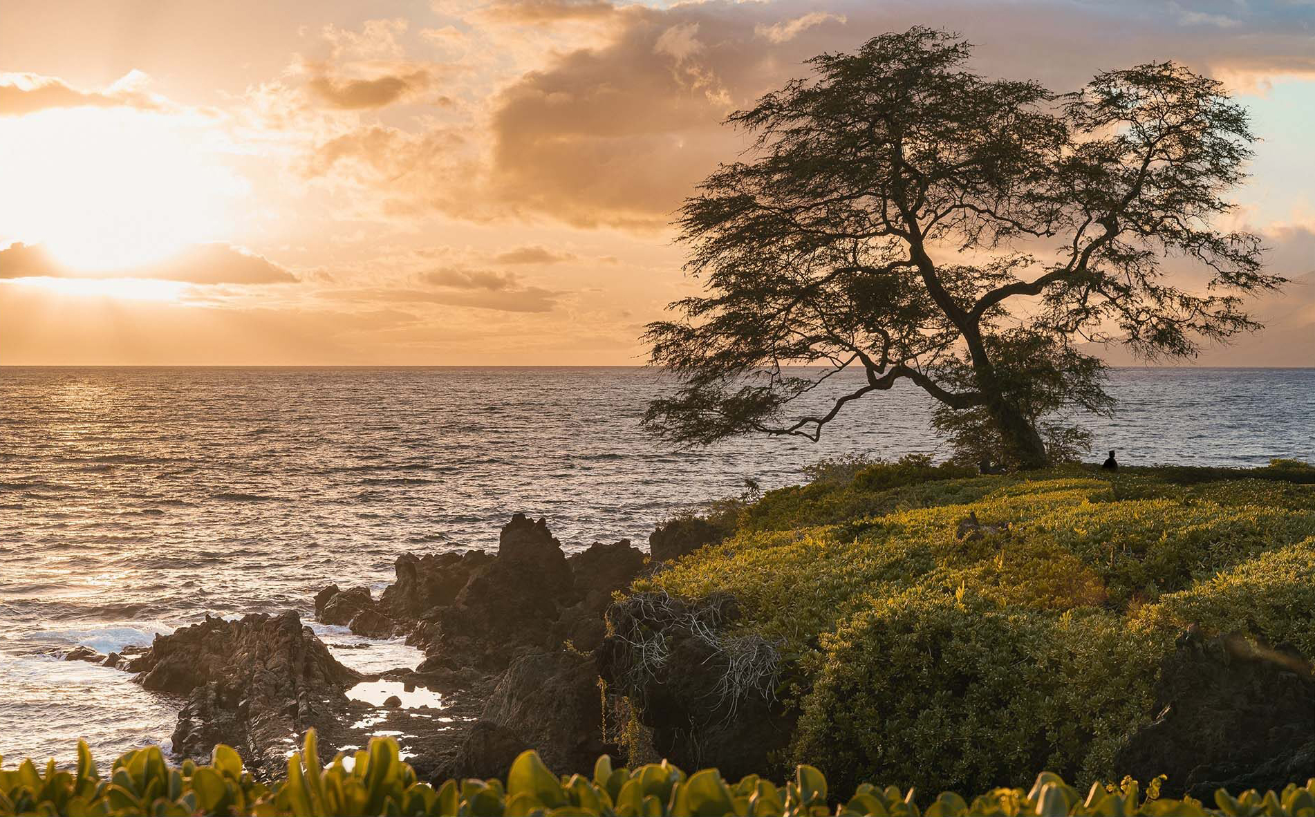 Coastal photo by Dominick Carlson