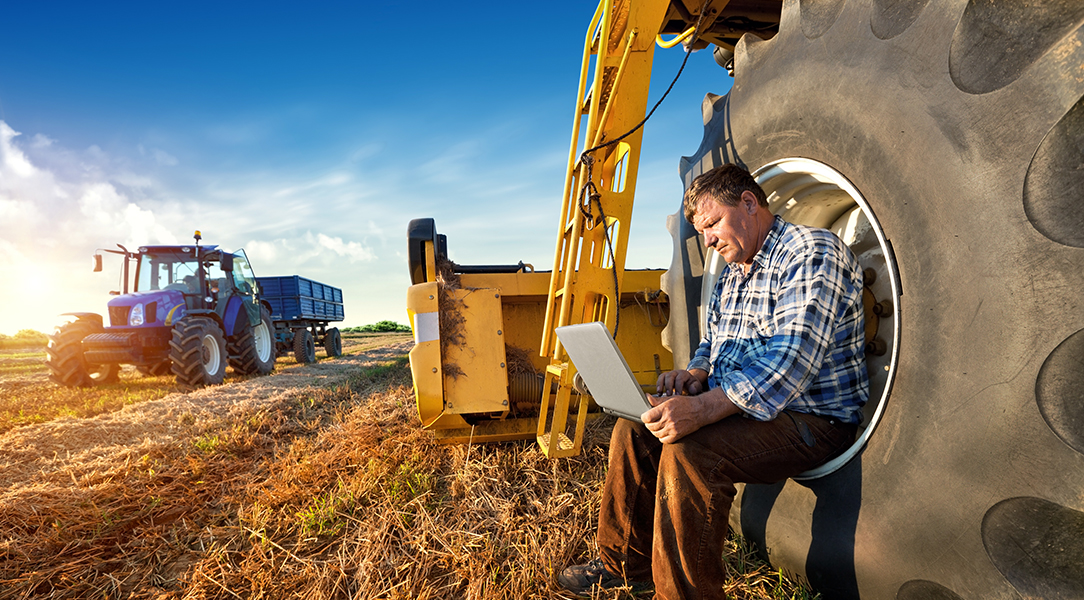 Person working on a laptop computer